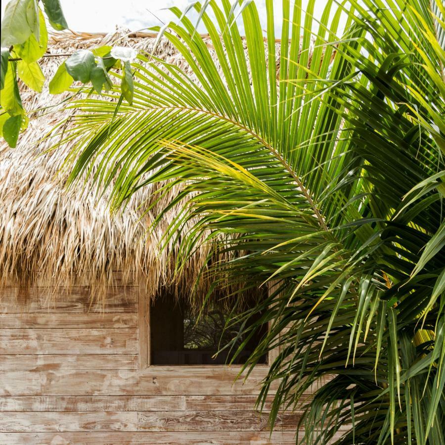 Suyo Cabanas Popoyo | Hotel Suyo El Limón Exteriör bild